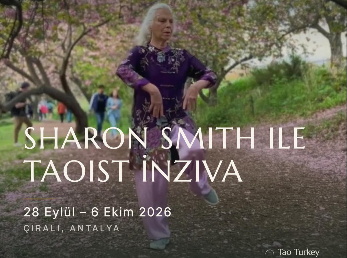 Şeyler-1