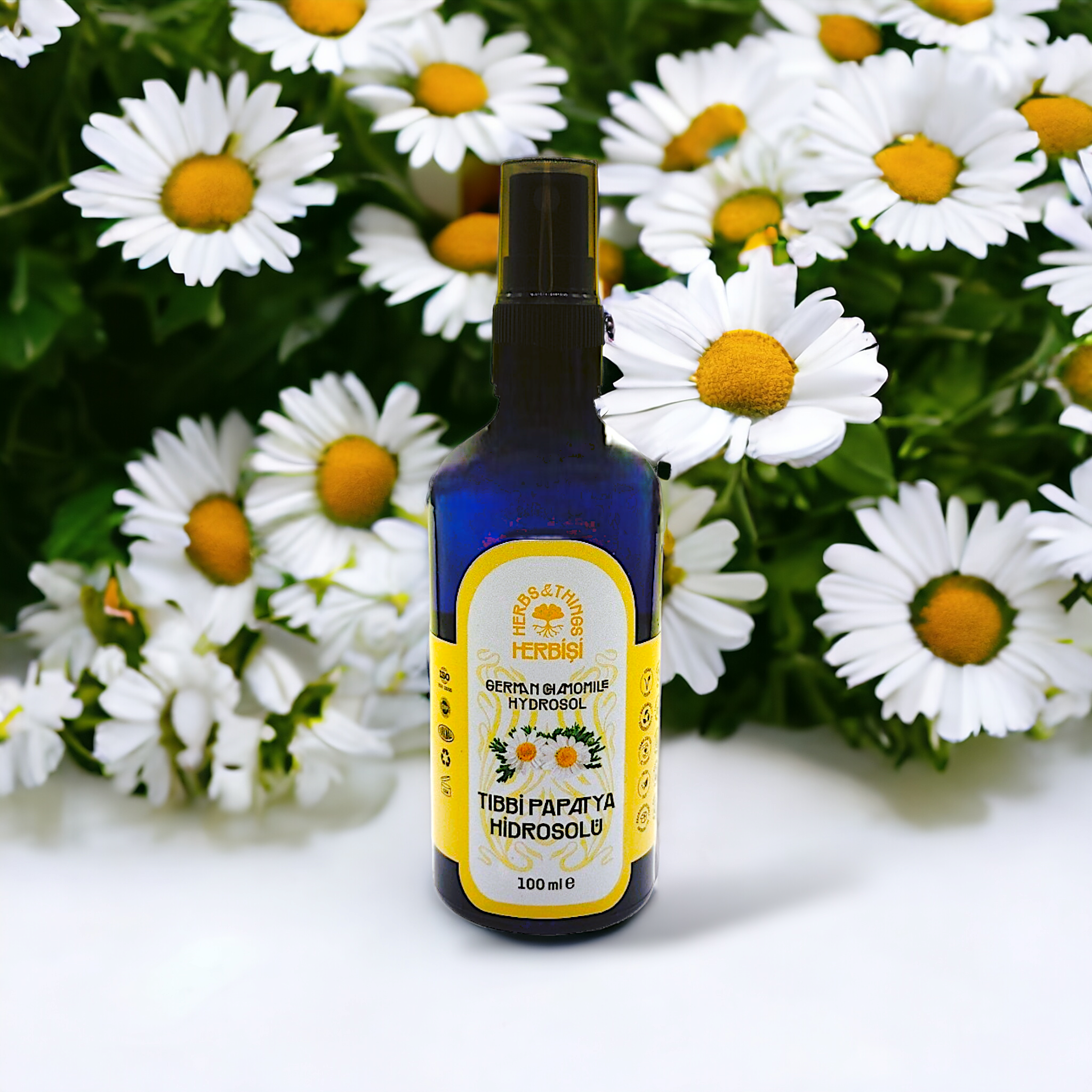 Tıbbi Papatya Hidrosolü – Herbişi