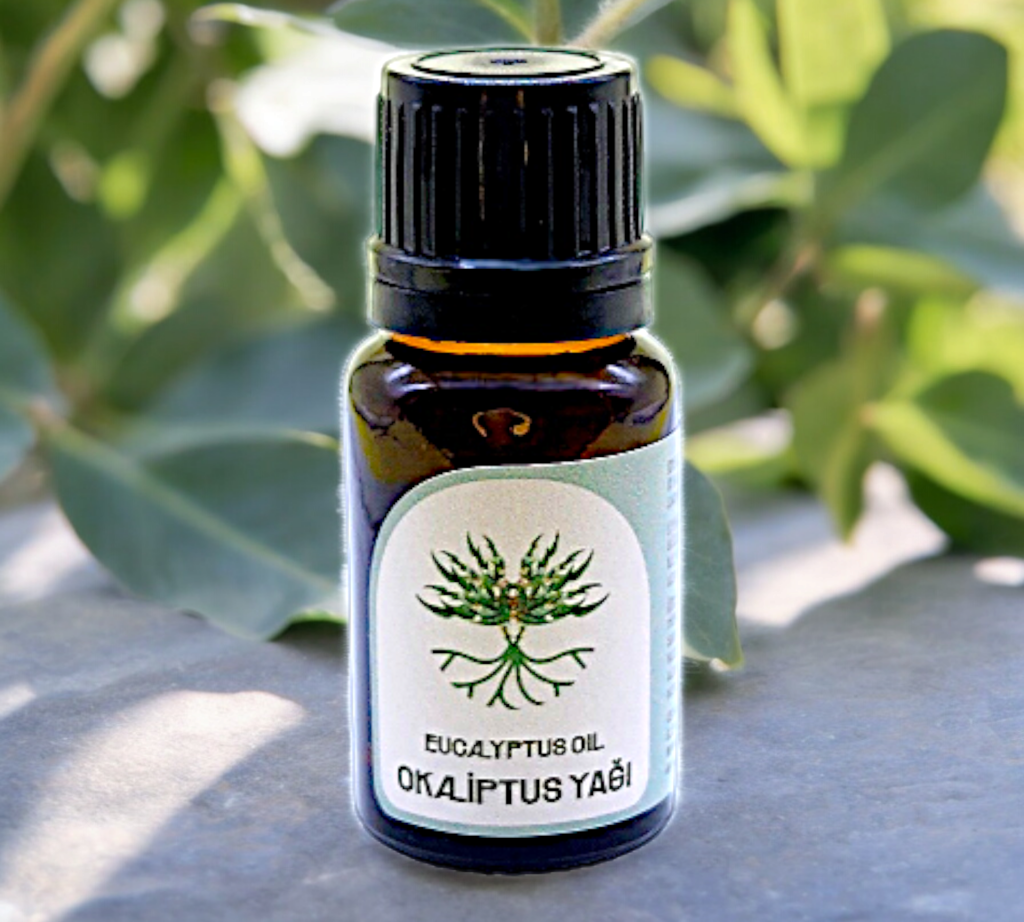 Okaliptüs Yağı – Herbişi