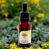 St. John's Wort Oil