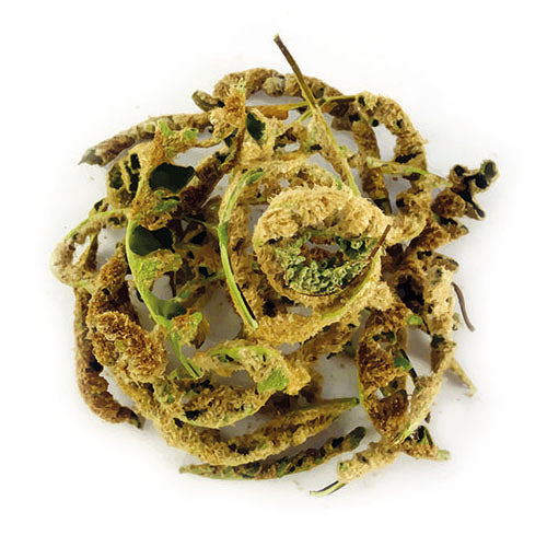 goldenrod – Herbişi